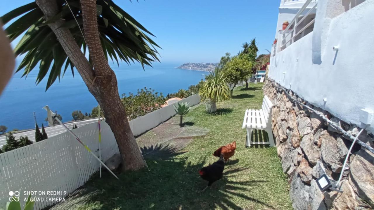 Villa Buganvilla En Salobreña Dış mekan fotoğraf