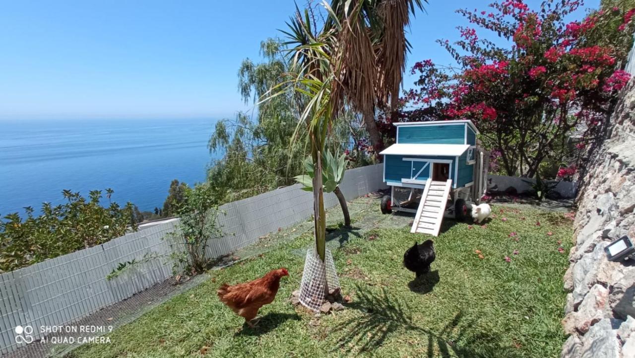 Villa Buganvilla En Salobreña Dış mekan fotoğraf